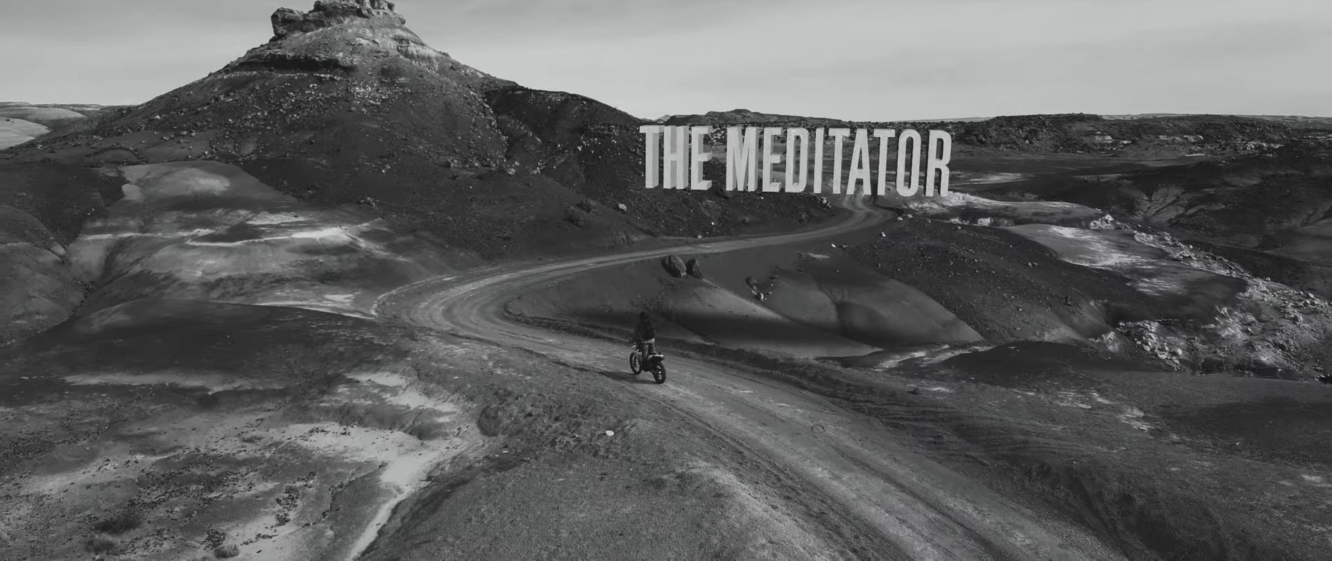 the meditator